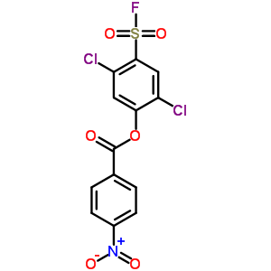 Benzenesulfonylfluoride, 2,5-dichloro-4-[(4-nitrobenzoyl)oxy]- Structure,23383-86-0Structure