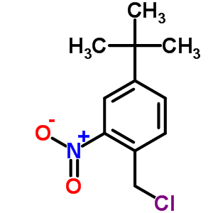 1-(Chloromethyl)-2-nitro-4-tert-butyl-benzene Structure,34252-92-1Structure