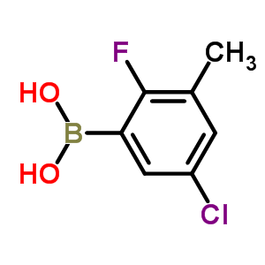 5-Chloro-2-fluoro-3-methylphenylboronic acid Structure,352535-87-6Structure