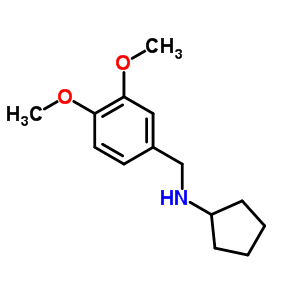 Cyclopentyl-(3,4-dimethoxy-benzyl)-amine Structure,356091-42-4Structure