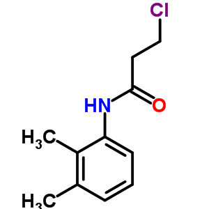 3-Chloro-n-(2,3-dimethylphenyl)propanamide Structure,39494-15-0Structure