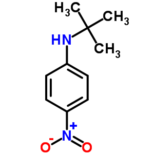 N-叔丁基-4-硝基苯胺结构式_4138-38-9结构式