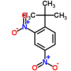 1-叔丁基-2,4-二硝基苯结构式_4160-54-7结构式