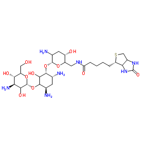 Biotinyl tobramycin amide Structure,419573-18-5Structure