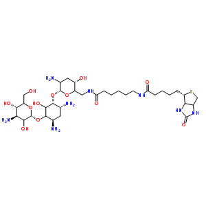 Biotinamidocaproate tobramycin amide Structure,419573-19-6Structure