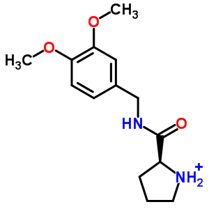 吡咯烷-2-羧酸 3,4-二甲氧基-苄基酰胺结构式_438581-56-7结构式