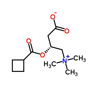 Cyclobutanecarbonylcarnitine Structure,51220-40-7Structure