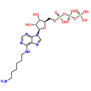 N(6)-aminohexyladenosine triphosphate Structure,53602-93-0Structure