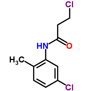 3-Chloro-n-(5-chloro-2-methylphenyl)propanamide Structure,544682-32-8Structure