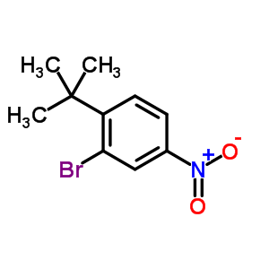 1-(叔丁基)-2-溴-4-硝基苯结构式_6310-17-4结构式