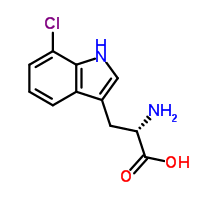 7-Chloro-l-tryptophan Structure,73945-46-7Structure