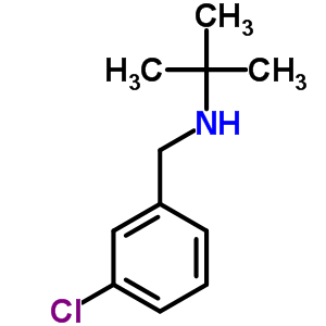 N-(tert-butyl)-n-(3-chlorobenzyl)amine Structure,893577-81-6Structure